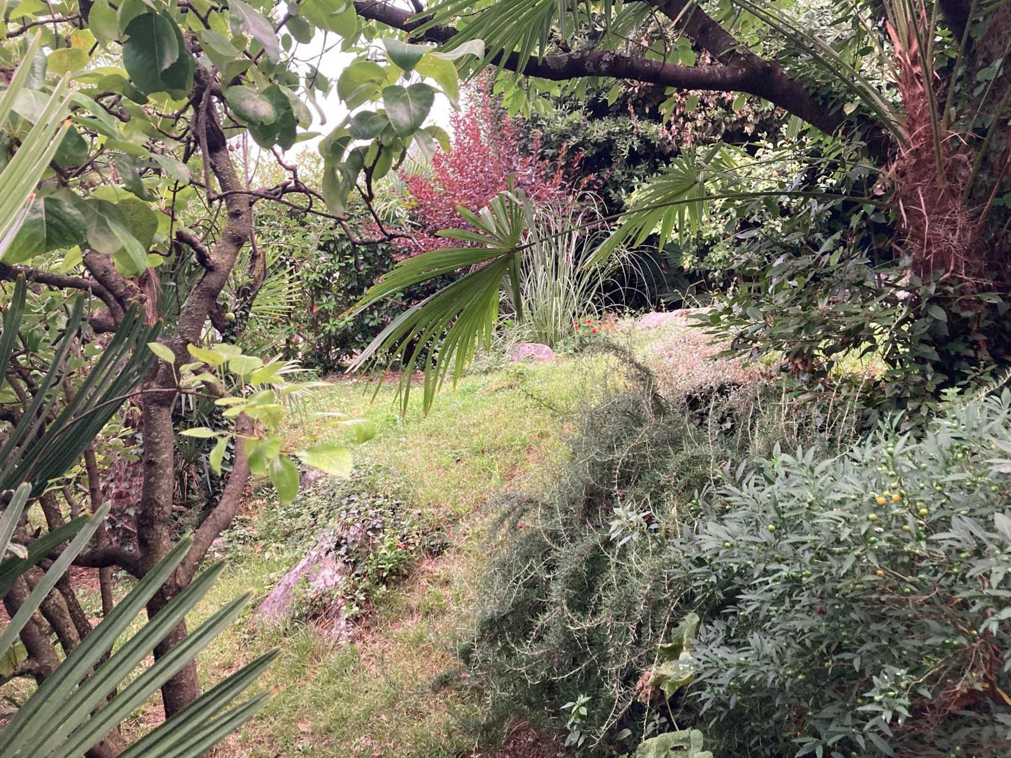 Apartment Doris Opatija Dış mekan fotoğraf